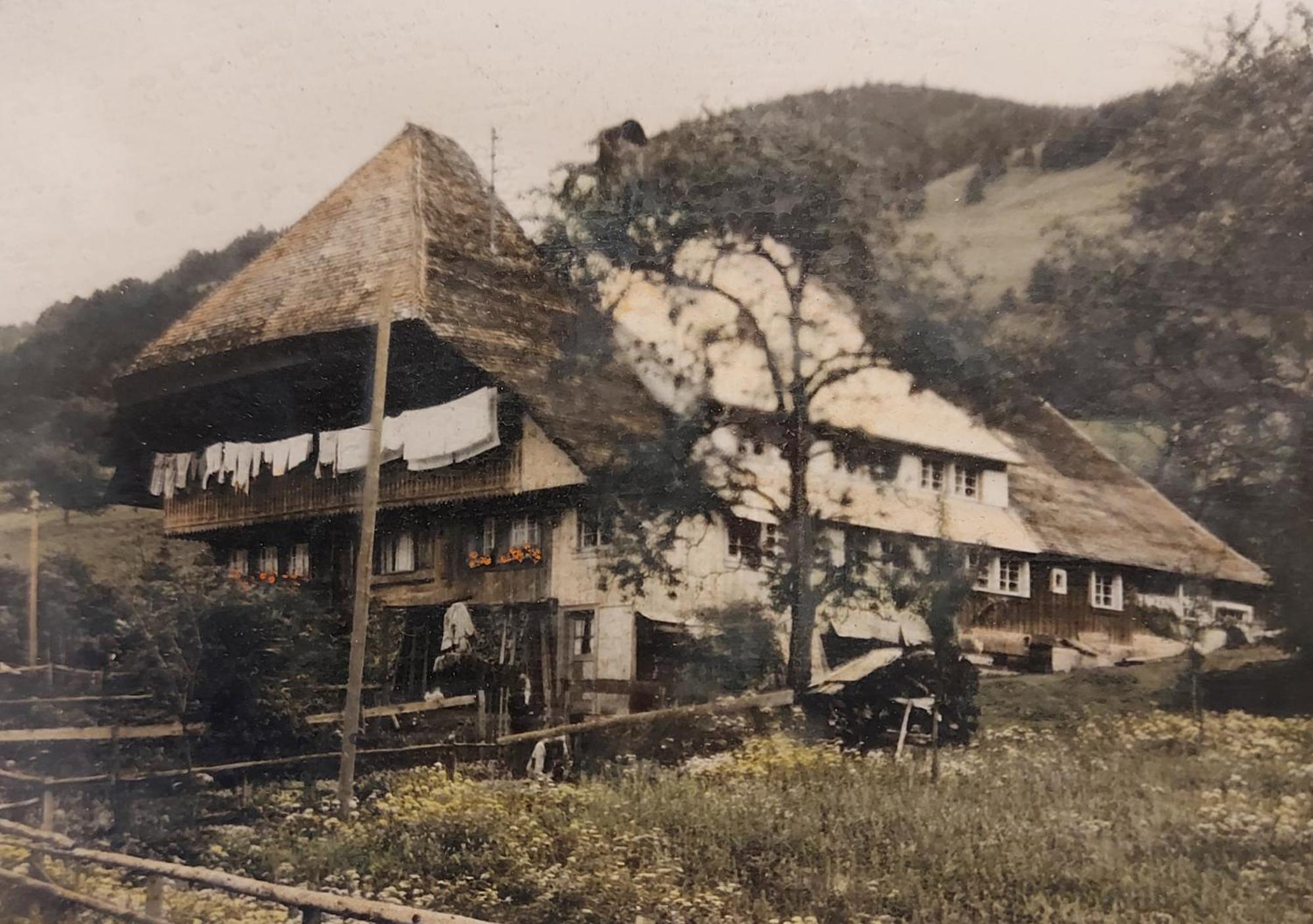 Ferienwohnungen Haus Hees Todtnau Exterior photo