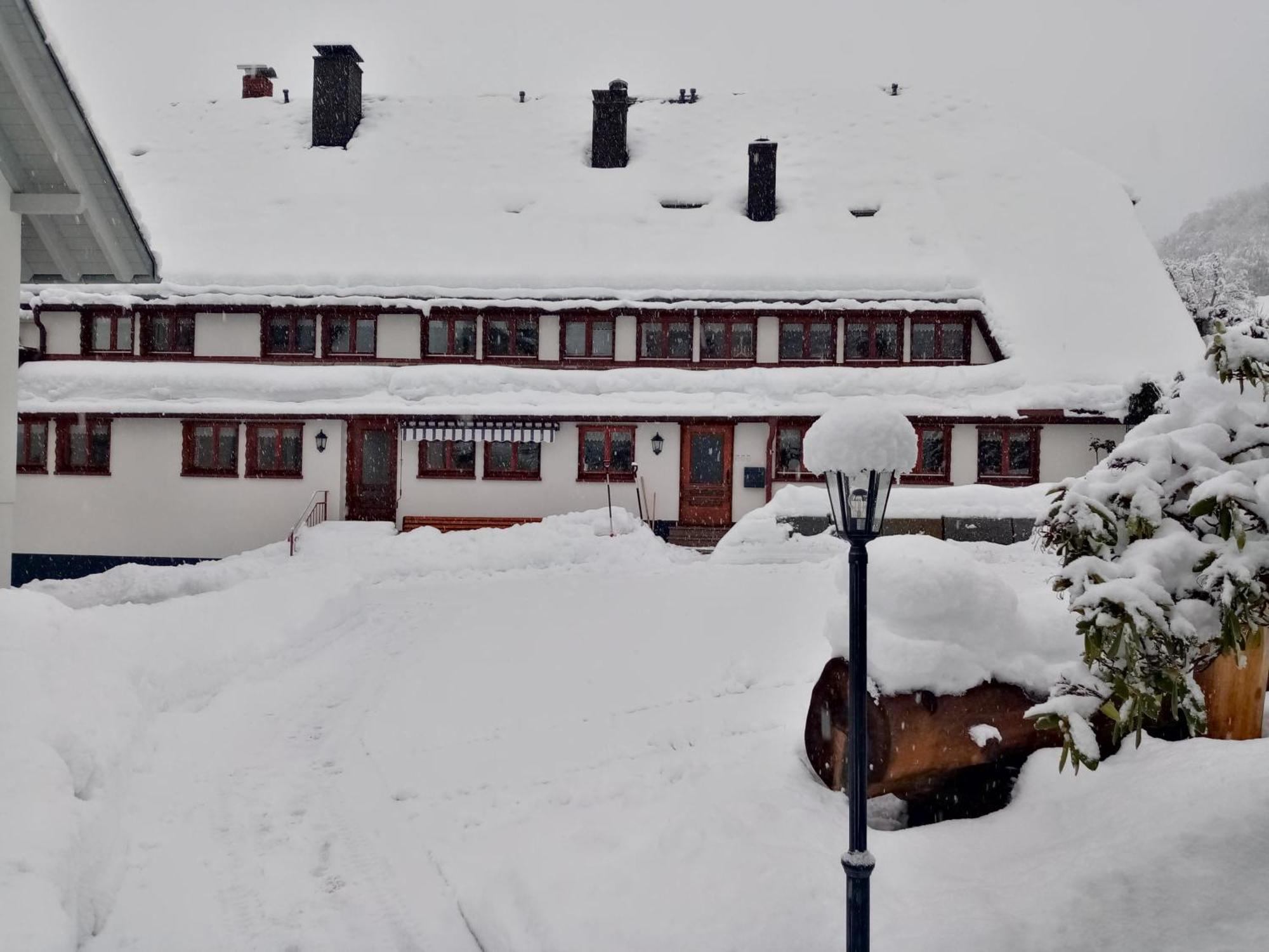 Ferienwohnungen Haus Hees Todtnau Exterior photo