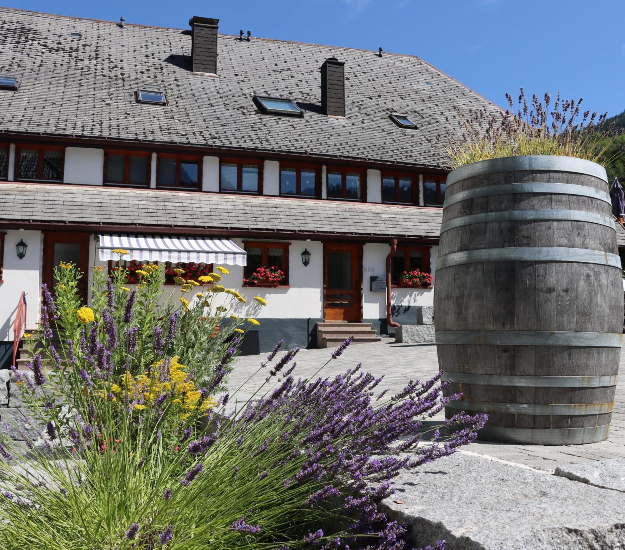 Ferienwohnungen Haus Hees Todtnau Exterior photo