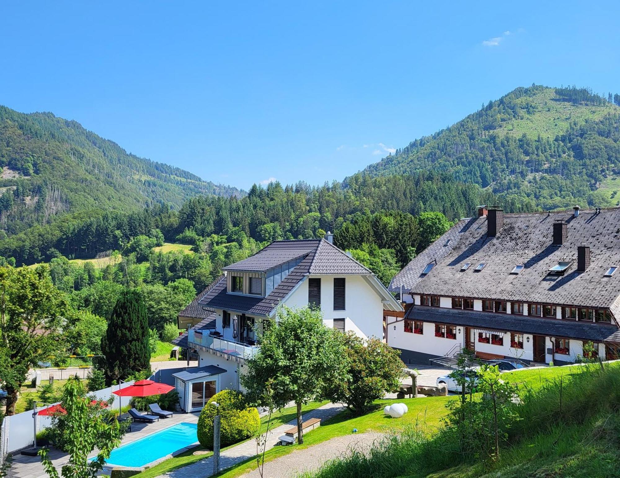 Ferienwohnungen Haus Hees Todtnau Exterior photo